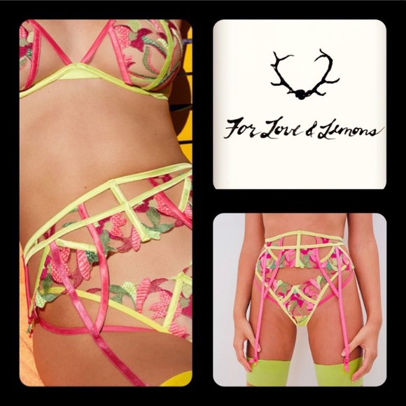 FOR LOVE AND LEMONS NWT PETUNIA FUCHSIA AND YELLOW EMBROIDERED GARTER BELT - Picture 5 of 7